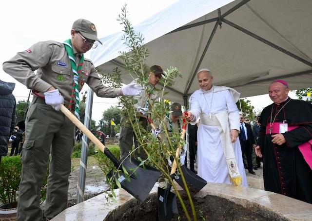 Al��rsko, Lev XIV.